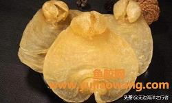 海魚膠一斤多少錢